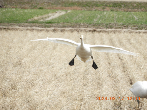DSCN9009.JPG