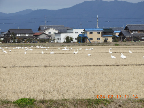 DSCN9010.JPG