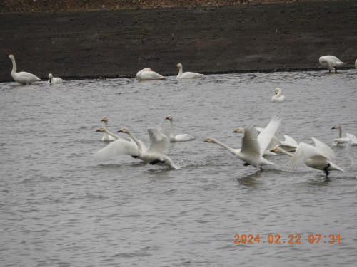 DSCN9018.JPG