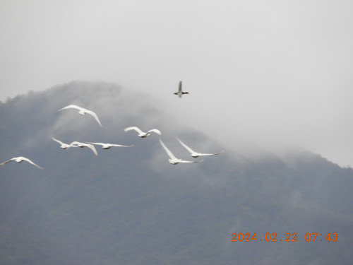 DSCN9041.JPG