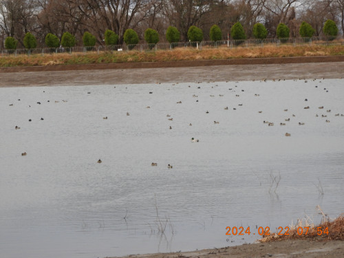 DSCN9047.JPG