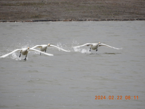 DSCN9084.JPG