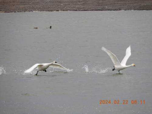 DSCN9086.JPG