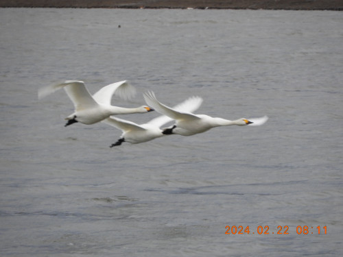 DSCN9087.JPG