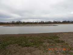DSCN9089.JPG