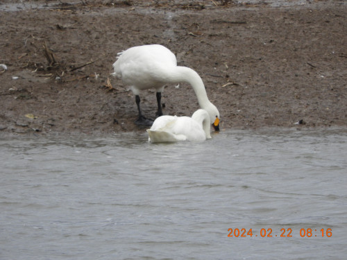DSCN9094.JPG