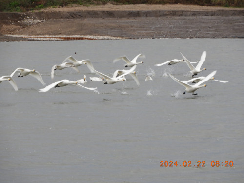 DSCN9098.JPG
