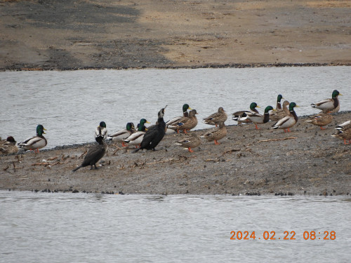 DSCN9109.JPG