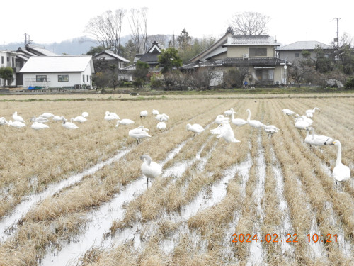 DSCN9125.JPG