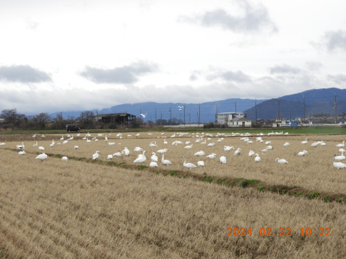 DSCN9126.JPG