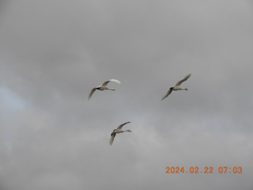 DSCN9013.JPG