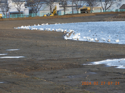 DSCN9147.JPG