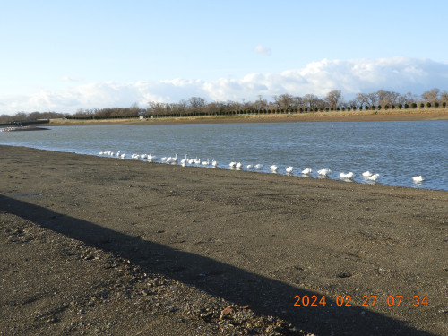 DSCN9155.JPG