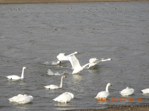 DSCN9167.JPG