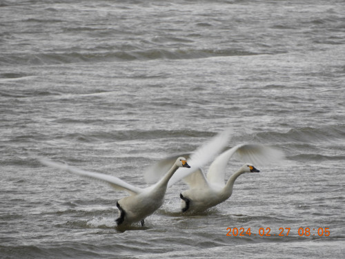 DSCN9180.JPG