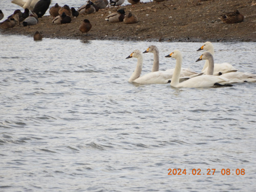 DSCN9182.JPG