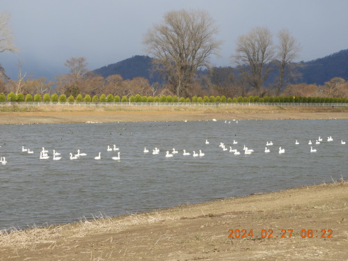 DSCN9193.JPG