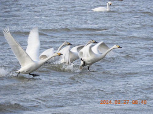 DSCN9209.JPG