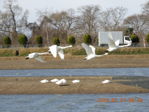 DSCN9218.JPG