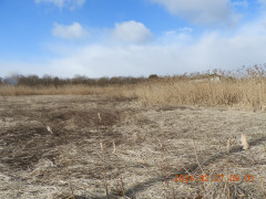 DSCN9222.JPG