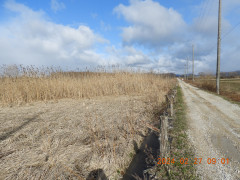 DSCN9223.JPG