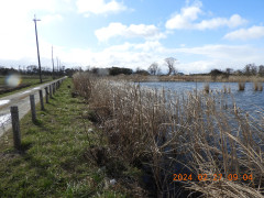 DSCN9227.JPG