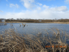 DSCN9228.JPG