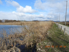 DSCN9229.JPG