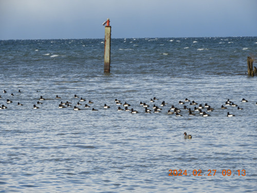 DSCN9235.JPG
