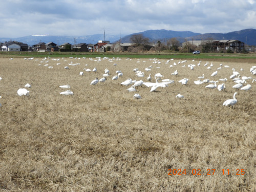 DSCN9244.JPG