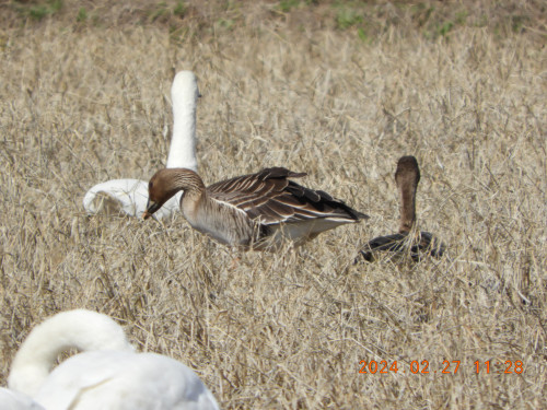 DSCN9252.JPG