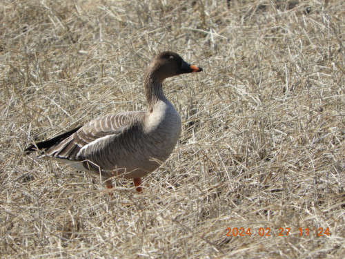 DSCN9242.JPG