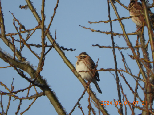 DSCN9301.JPG