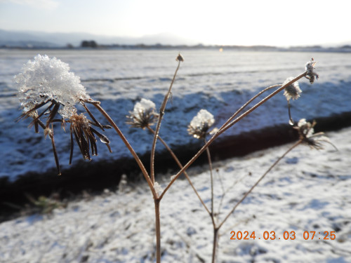 DSCN9302.JPG