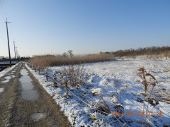 DSCN9303.JPG