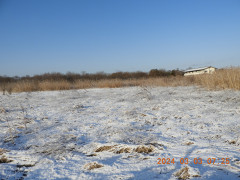 DSCN9304.JPG