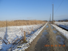 DSCN9305.JPG