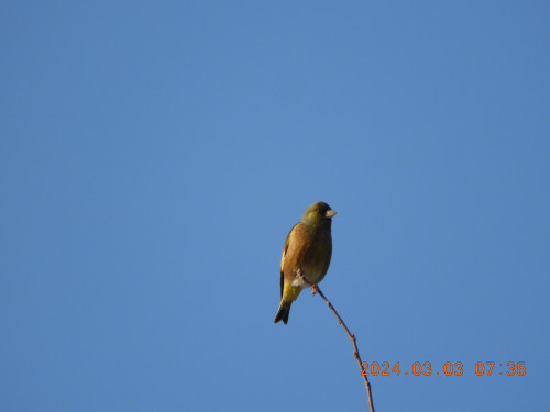 DSCN9308.JPG