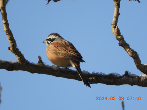 DSCN9316.JPG