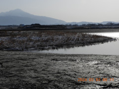 DSCN9328.JPG