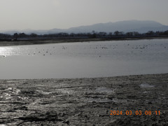 DSCN9329.JPG