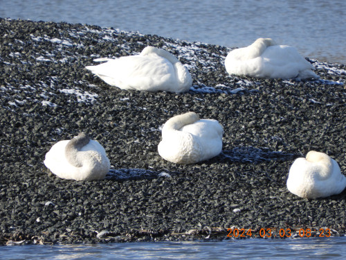 DSCN9336.JPG