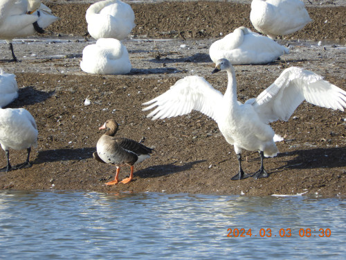 DSCN9338.JPG