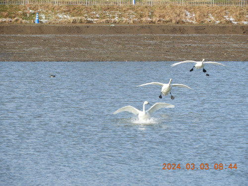 DSCN9344.JPG