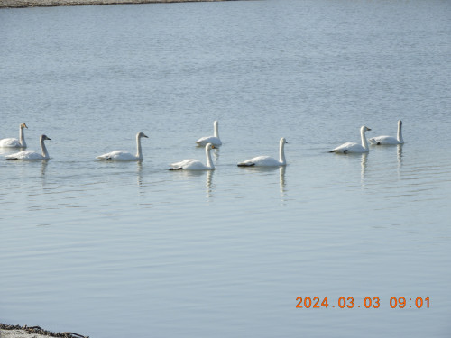 DSCN9347.JPG