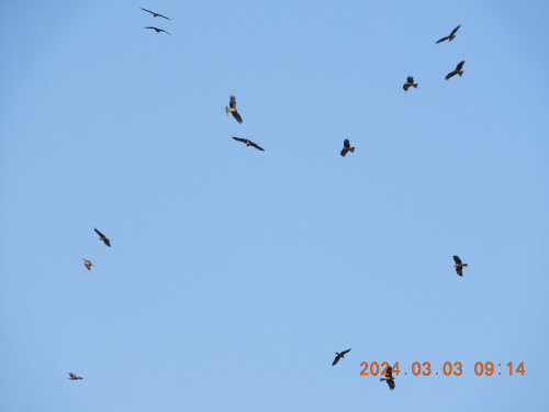 DSCN9352.JPG