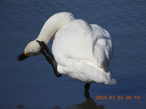 DSCN9354.JPG