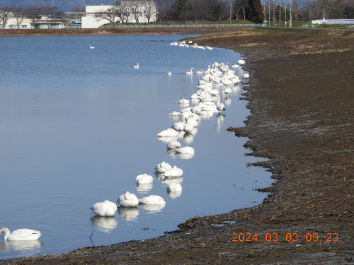 DSCN9357.JPG