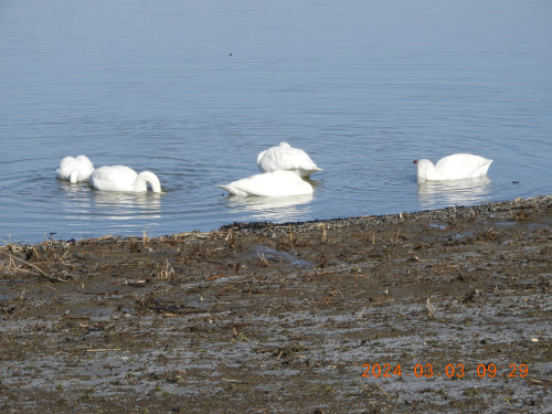 DSCN9364.JPG