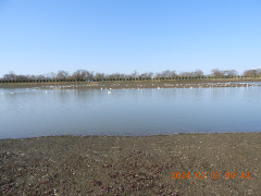 DSCN9366.JPG